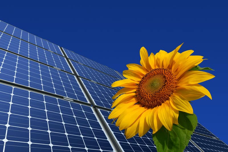 Future of Solar