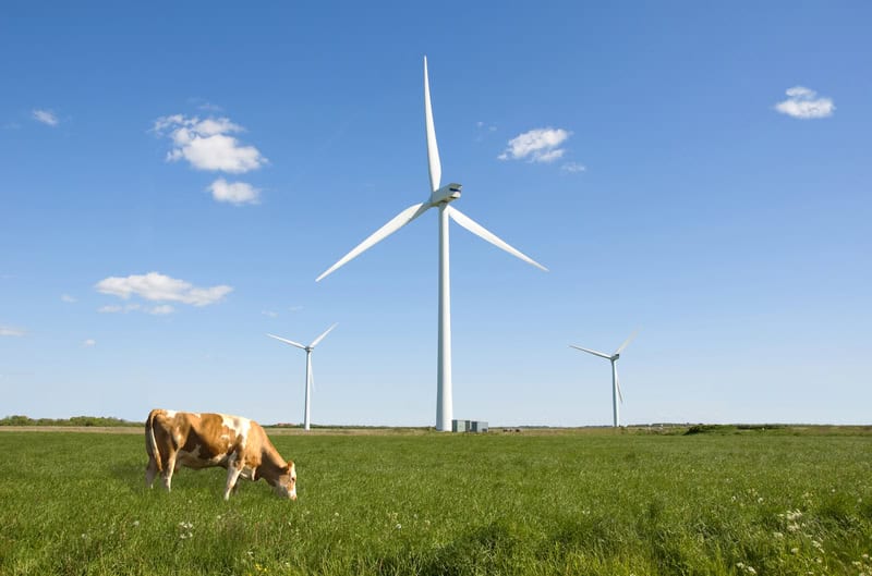 Green Energy Transition