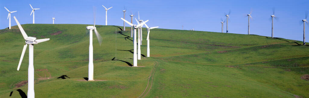 wind energy consultant